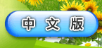 中文版